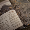 DARC Kampagnen Starter Bundle